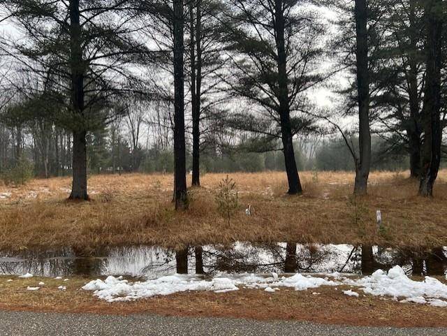 00 Manning LN, Baldwin Twp, MI 48730