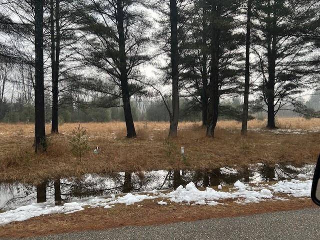 00 Manning LN, Baldwin Twp, MI 48730