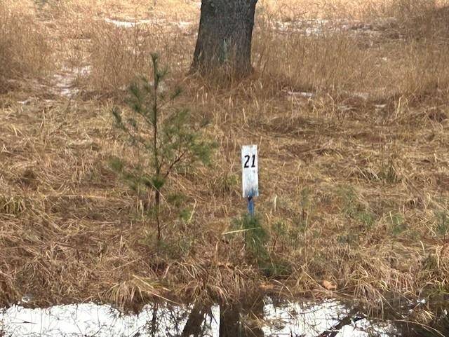 00 Manning LN, Baldwin Twp, MI 48730