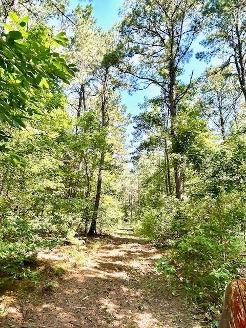 75 Acres Highway 37, Clarksville, TX 75426