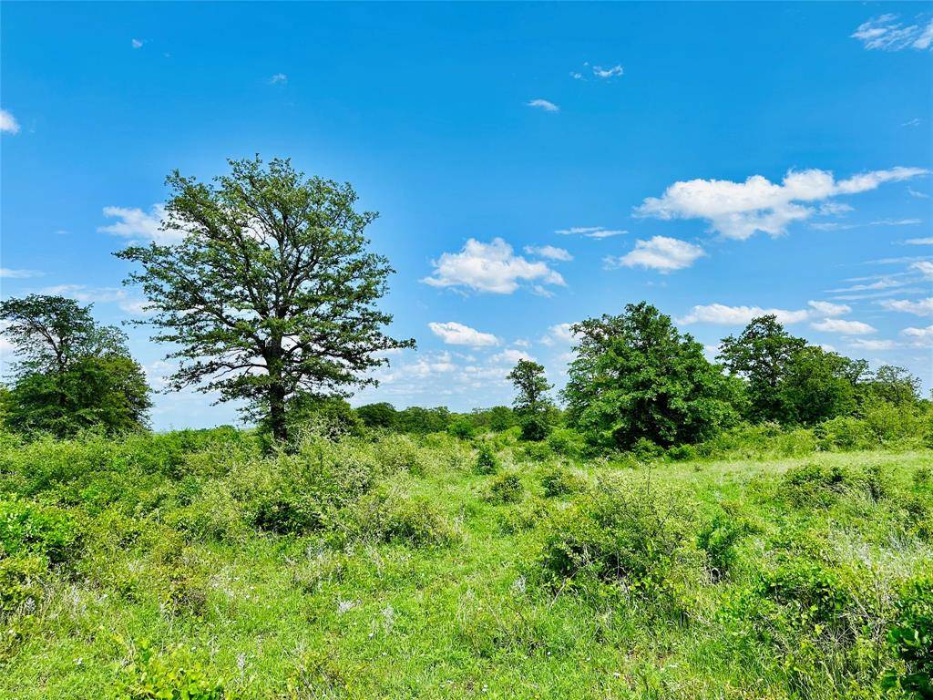 TBD Cr 429, Cross Plains, TX 76443