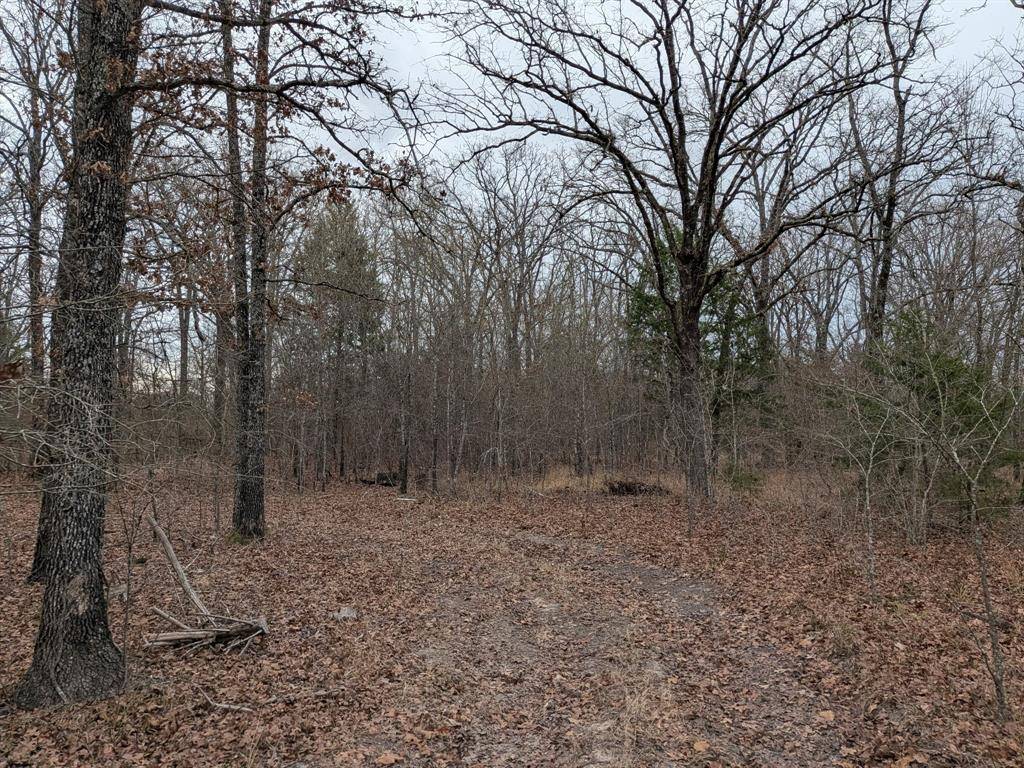 179 RS County Road 2572, Alba, TX 75410