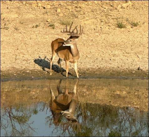 2367 County Road 311, Gouldbusk, TX 76845