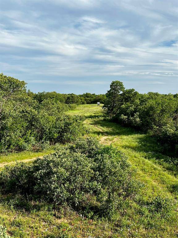 3599 County Road 413, Anson, TX 79501