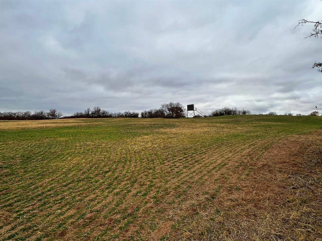 3599 County Road 413, Anson, TX 79501