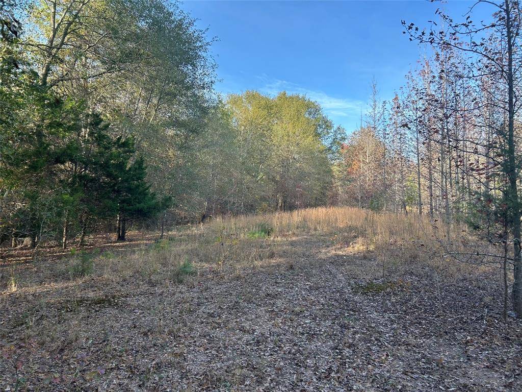 TBD COUNTY ROAD 1412, Bogata, TX 75416