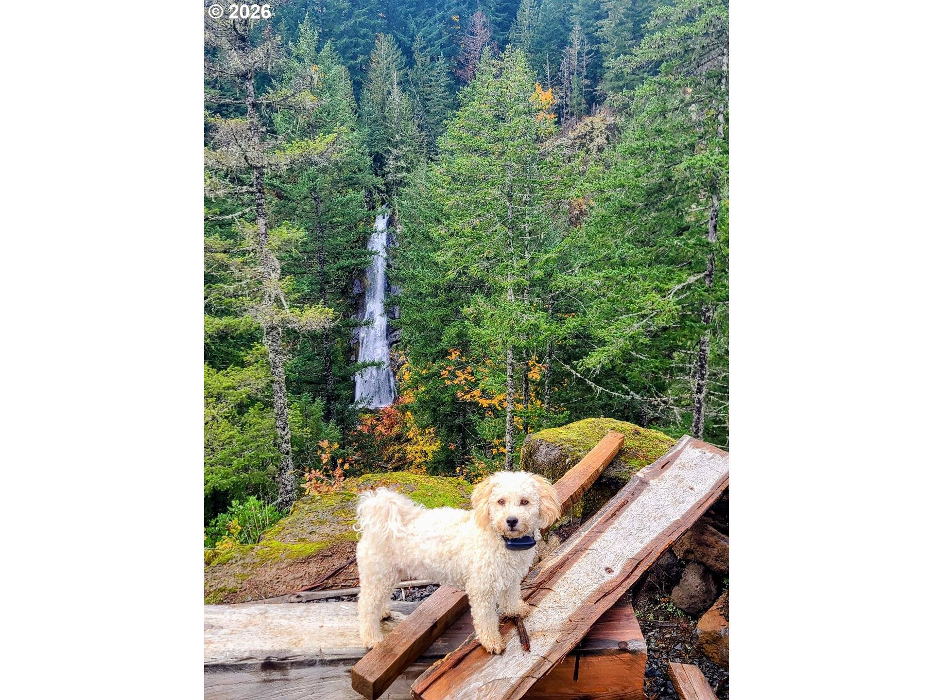 Boulder Ridge, Carson, WA 98610