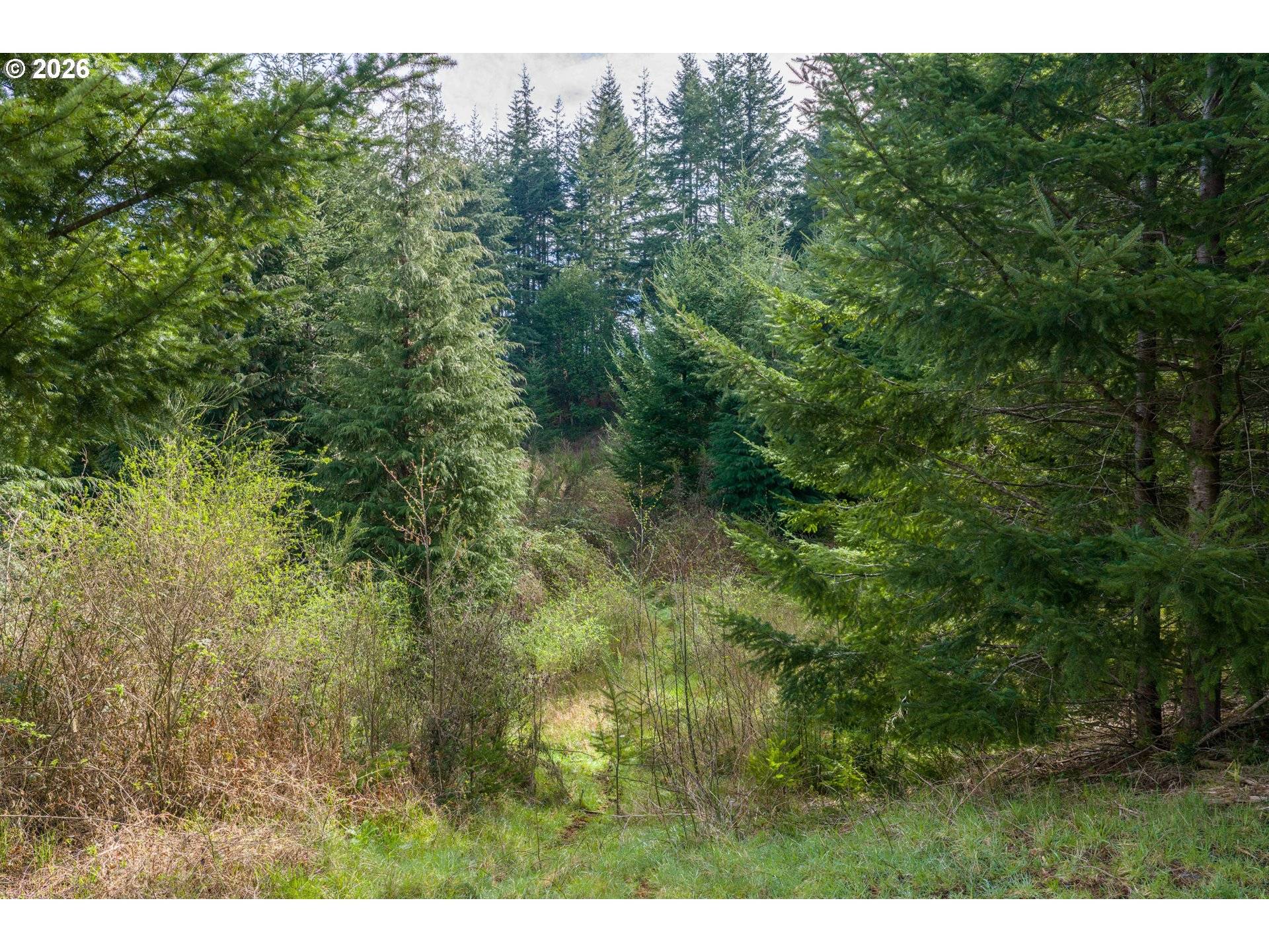 93549 PATTERSON LN, Coos Bay, OR 97420