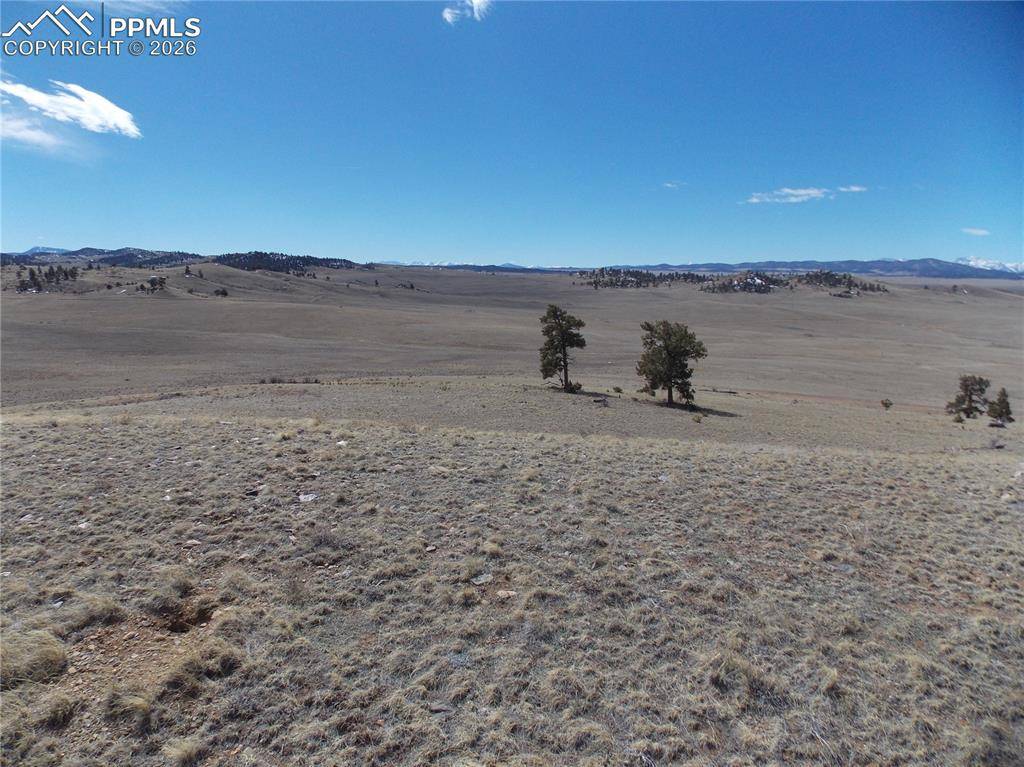 Lot 5795 Guipago TRL, Hartsel, CO 80449