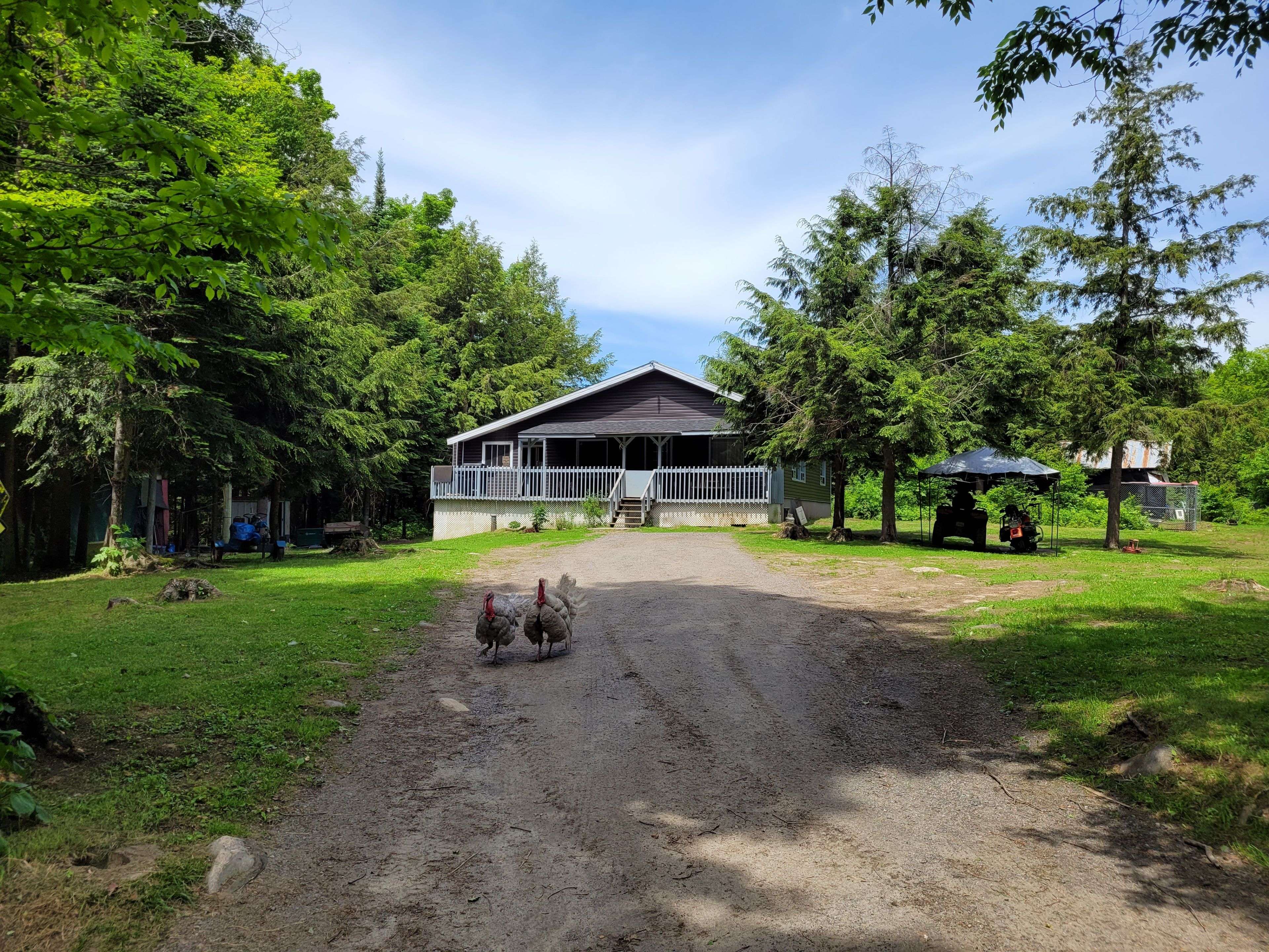 246 Hickey TRL, Hastings Highlands, ON K0L 1C0