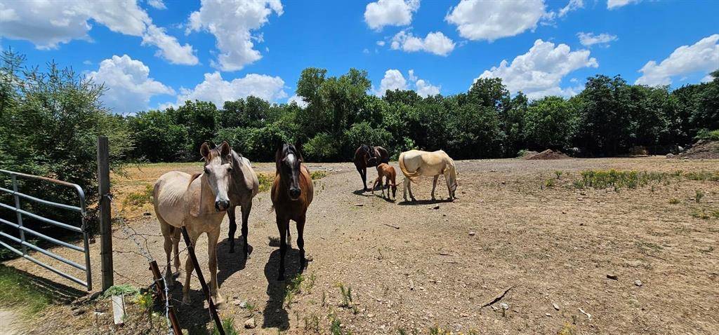 2001 Solona Street #A, Haltom City, TX 76117