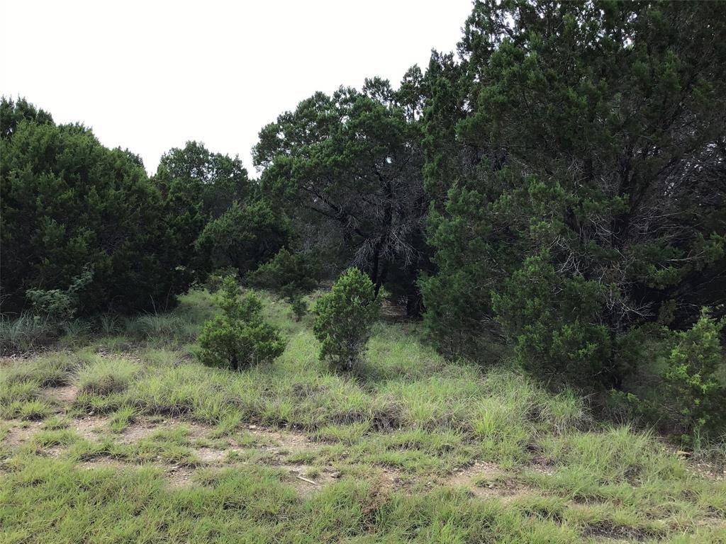 43020 Whisperwood Drive, Whitney, TX 76692