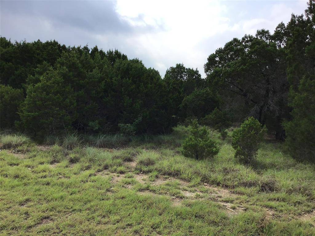 43020 Whisperwood Drive, Whitney, TX 76692