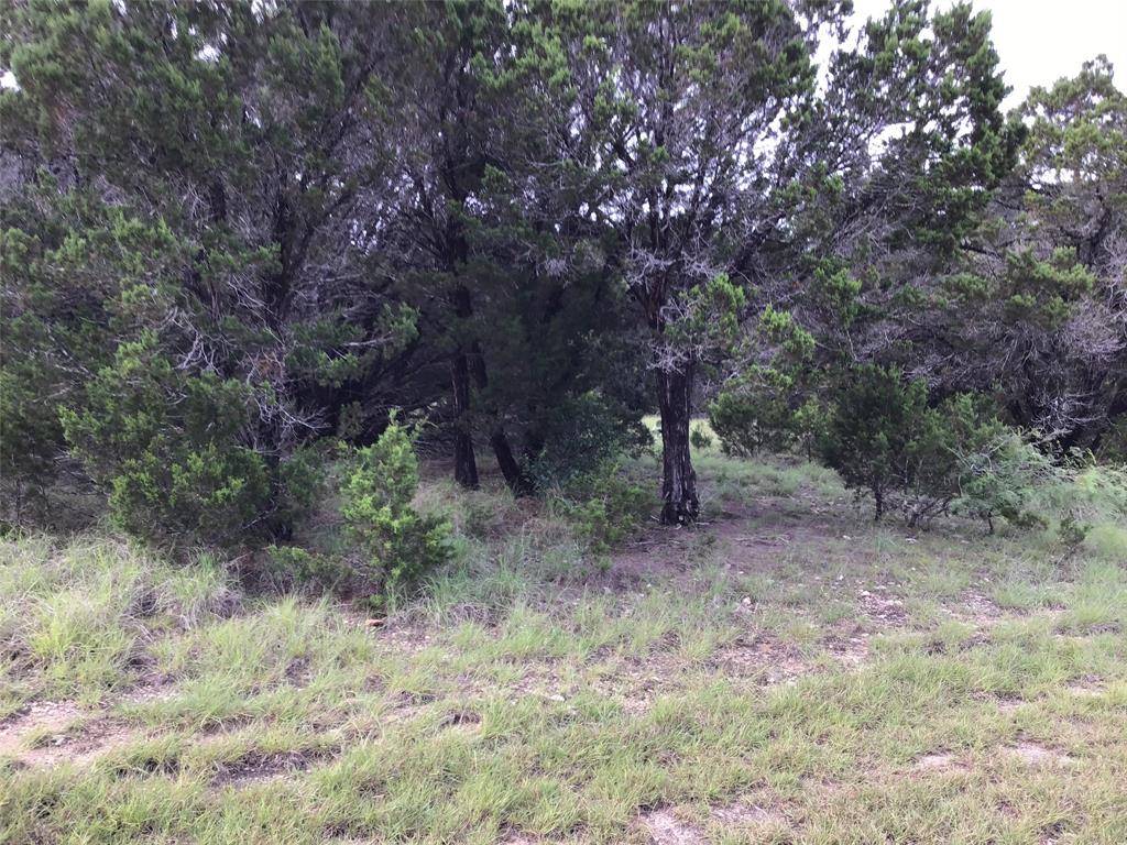 43020 Whisperwood Drive, Whitney, TX 76692