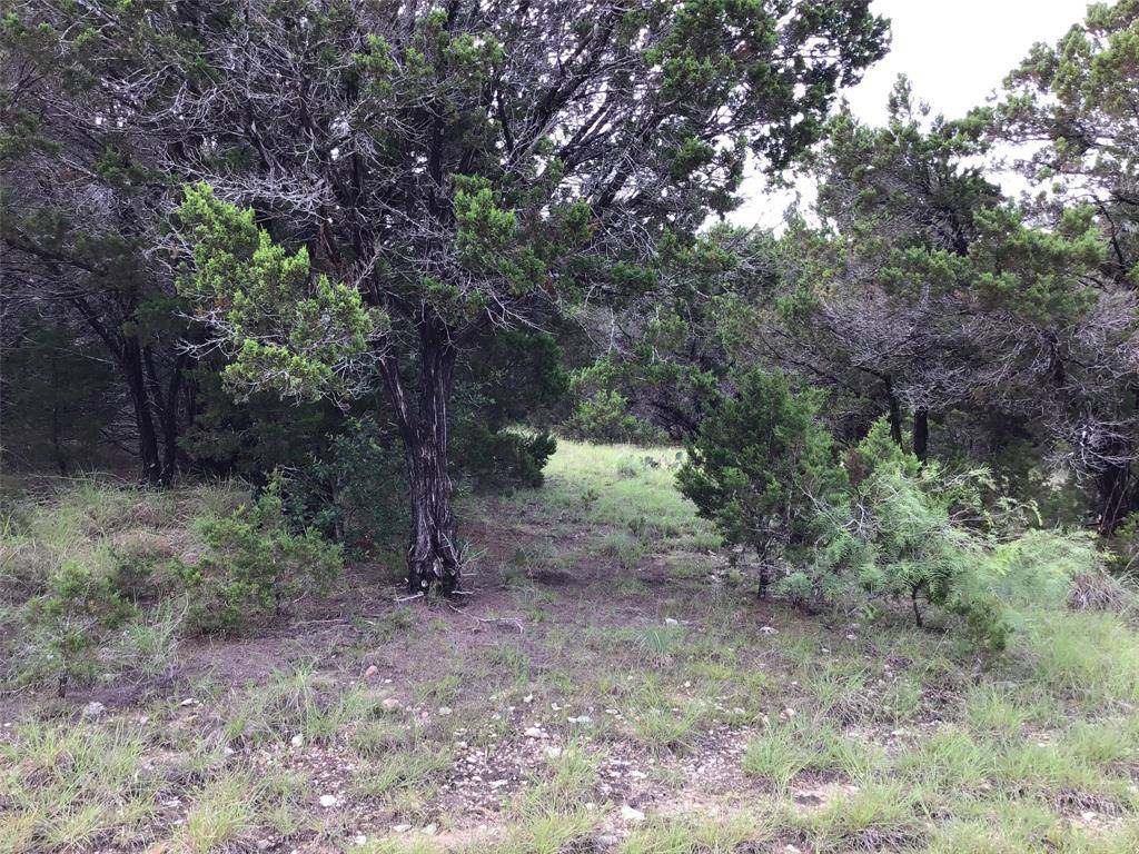 43020 Whisperwood Drive, Whitney, TX 76692