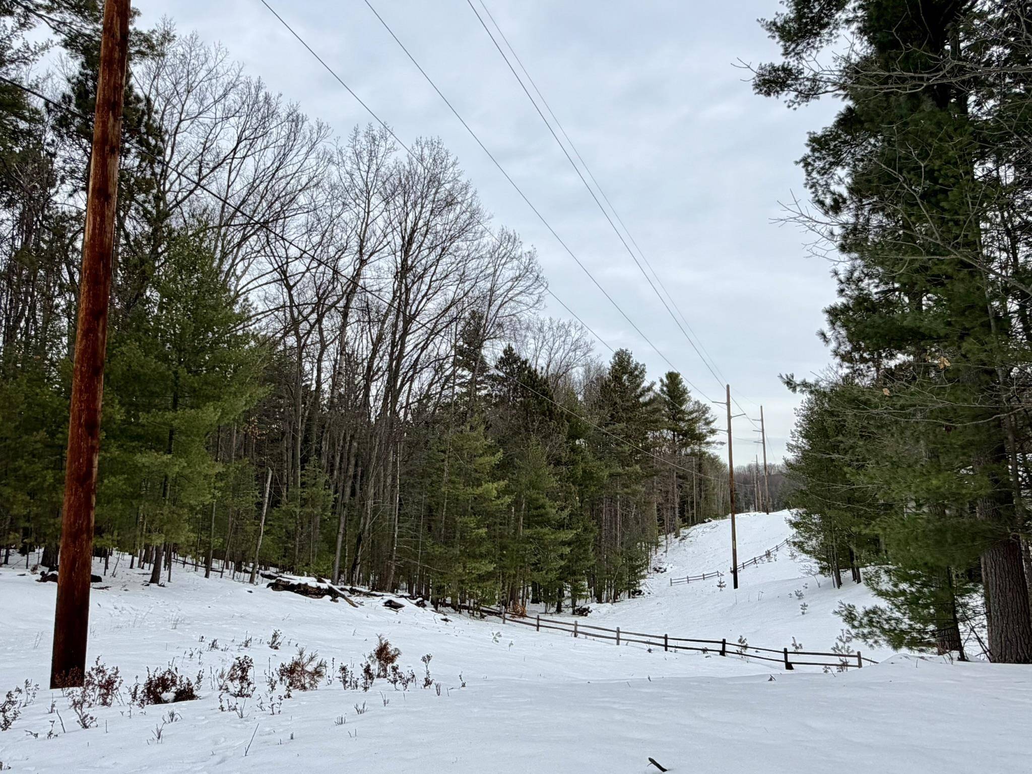 4478 Ground Pine TRL, Acme Twp, MI 49686