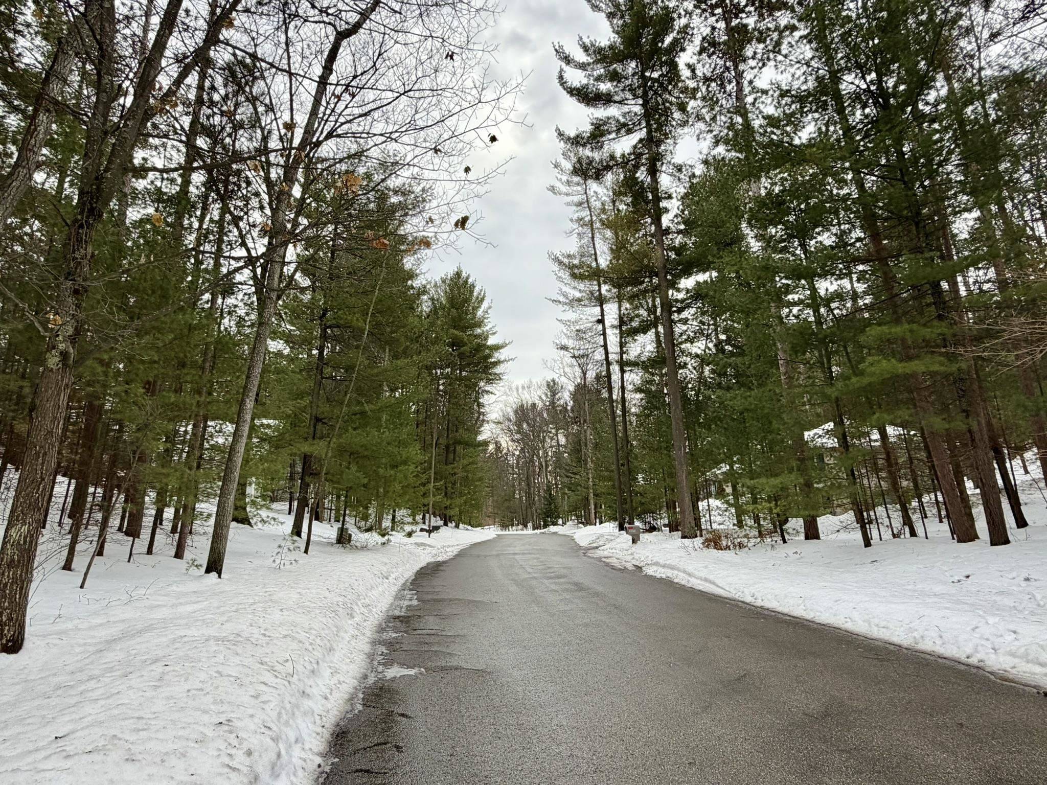 4478 Ground Pine TRL, Acme Twp, MI 49686