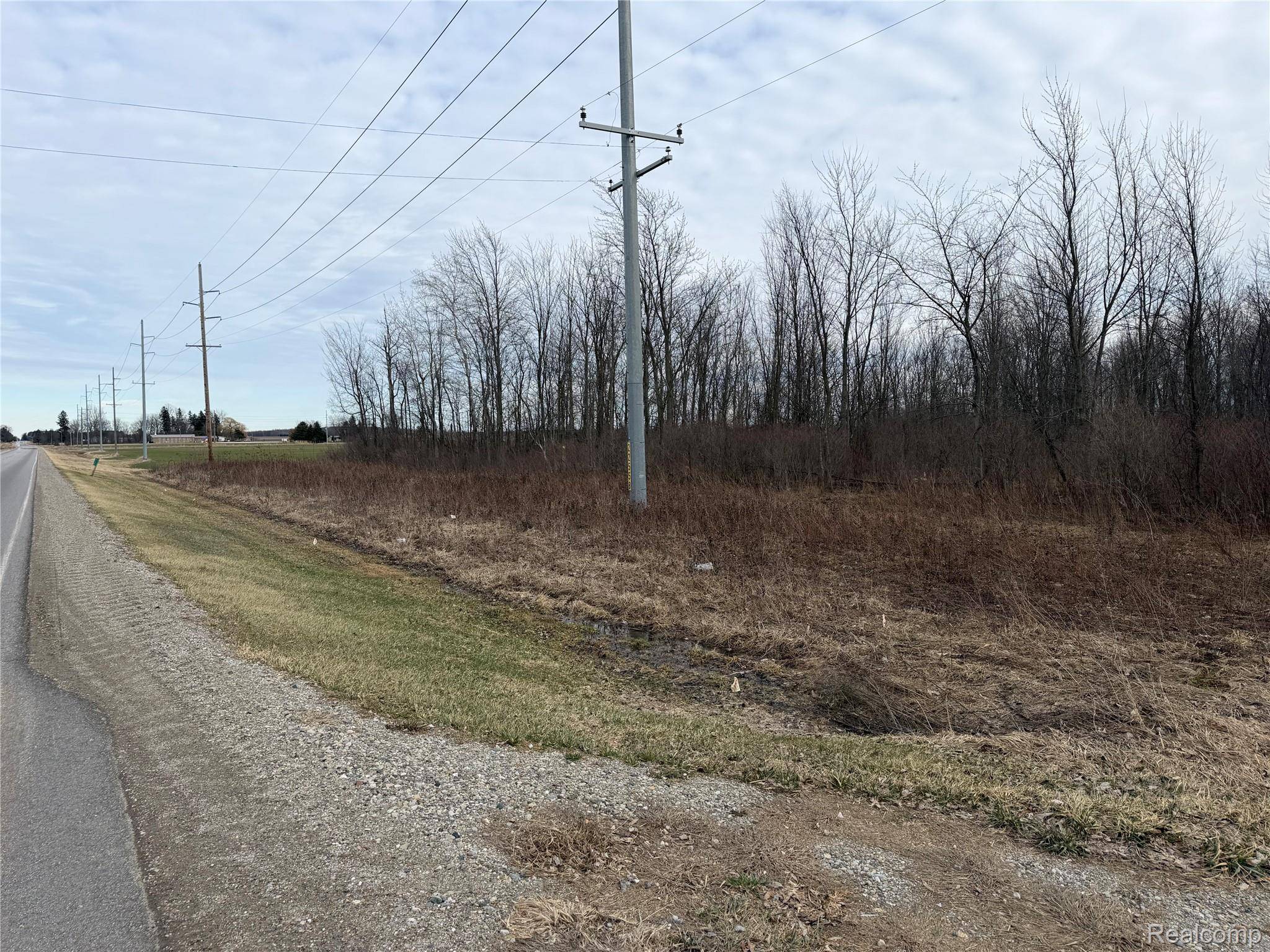 3155 Peck RD, Flynn Township, MI 48416