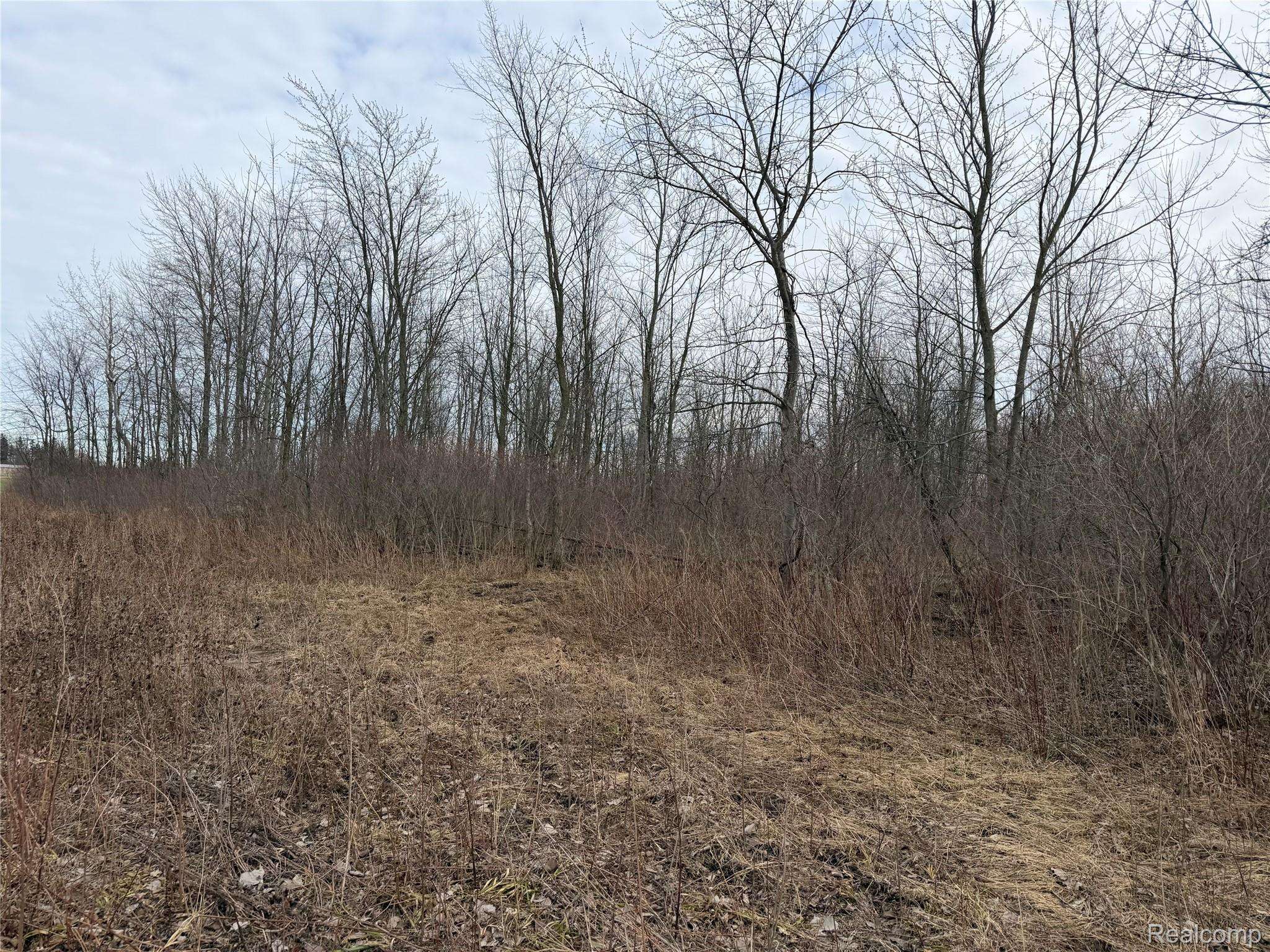 3155 Peck RD, Flynn Township, MI 48416