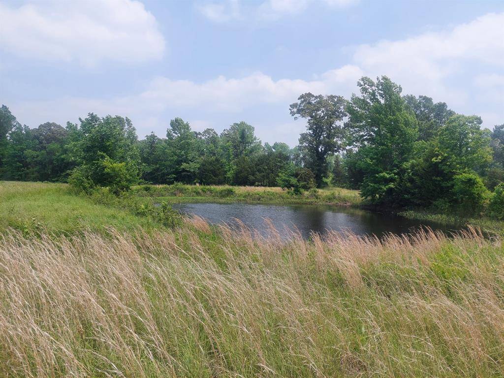 TBD FM-195, Bagwell, TX 75412