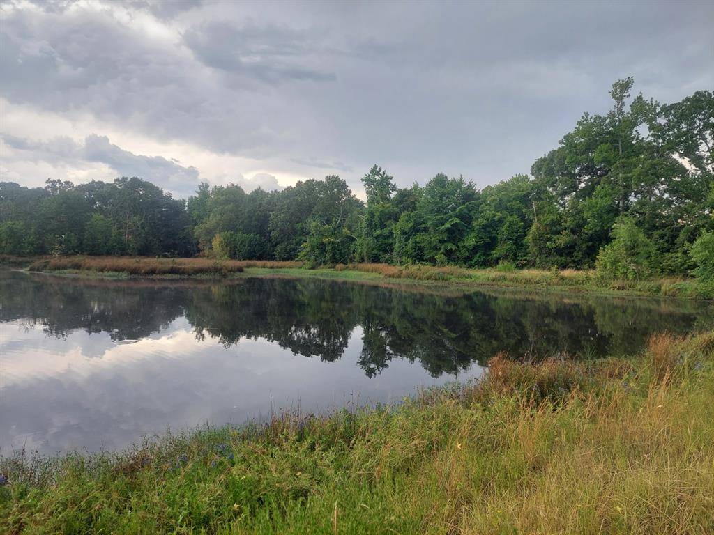 TBD FM-195, Bagwell, TX 75412