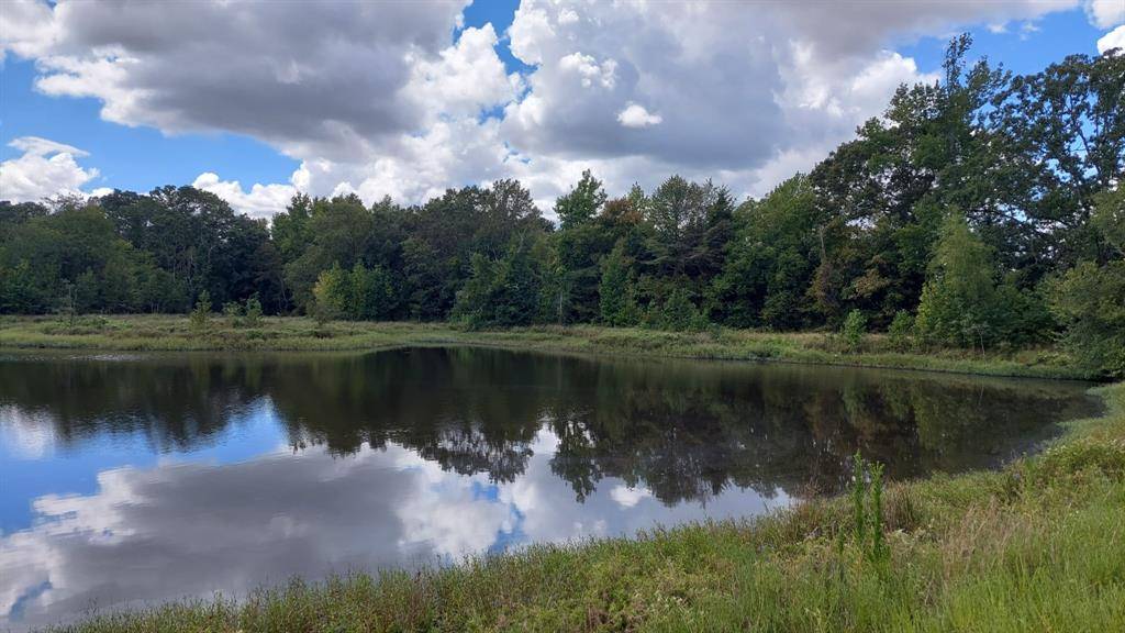 TBD FM-195, Bagwell, TX 75412