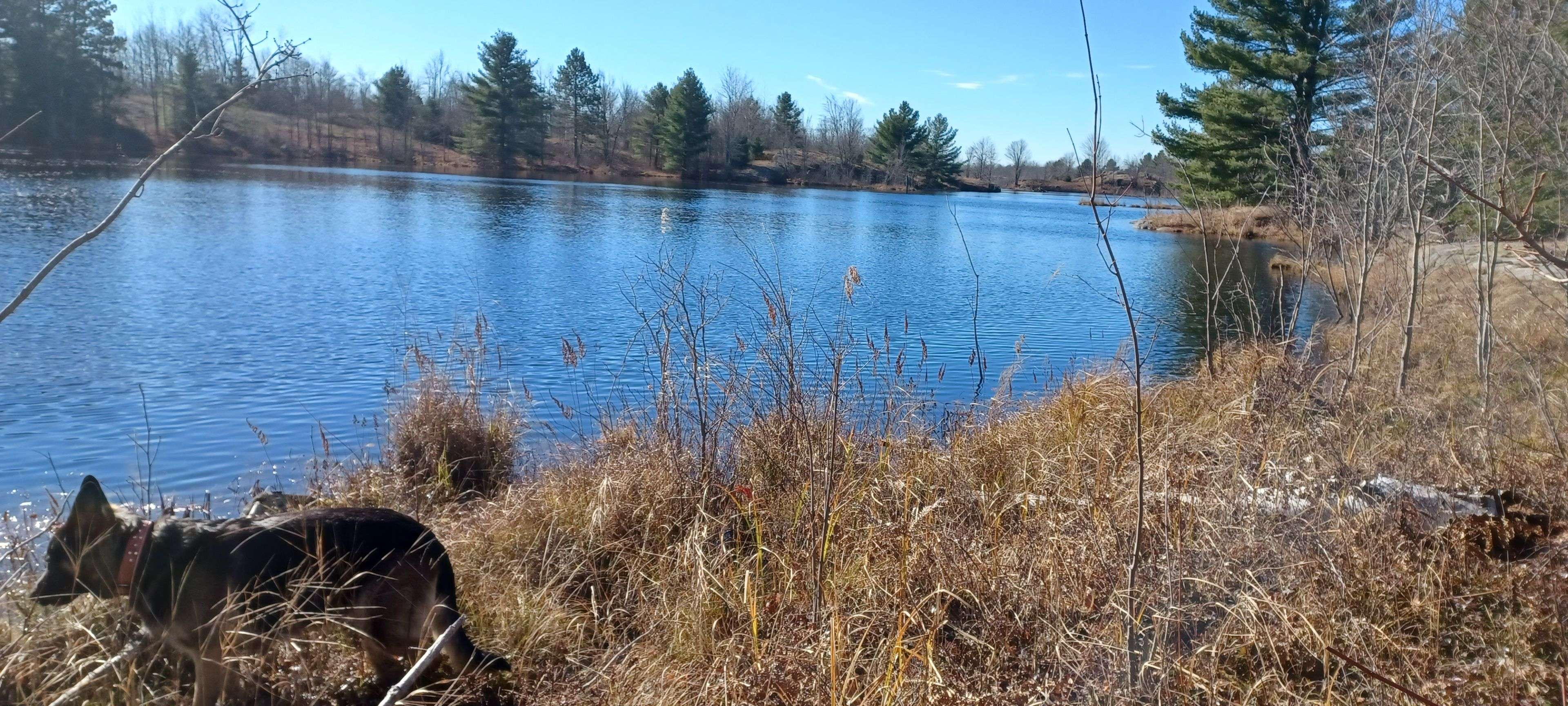 KALADAR CON 9 LT 21 N/A, Addington Highlands, ON K0H 2G0