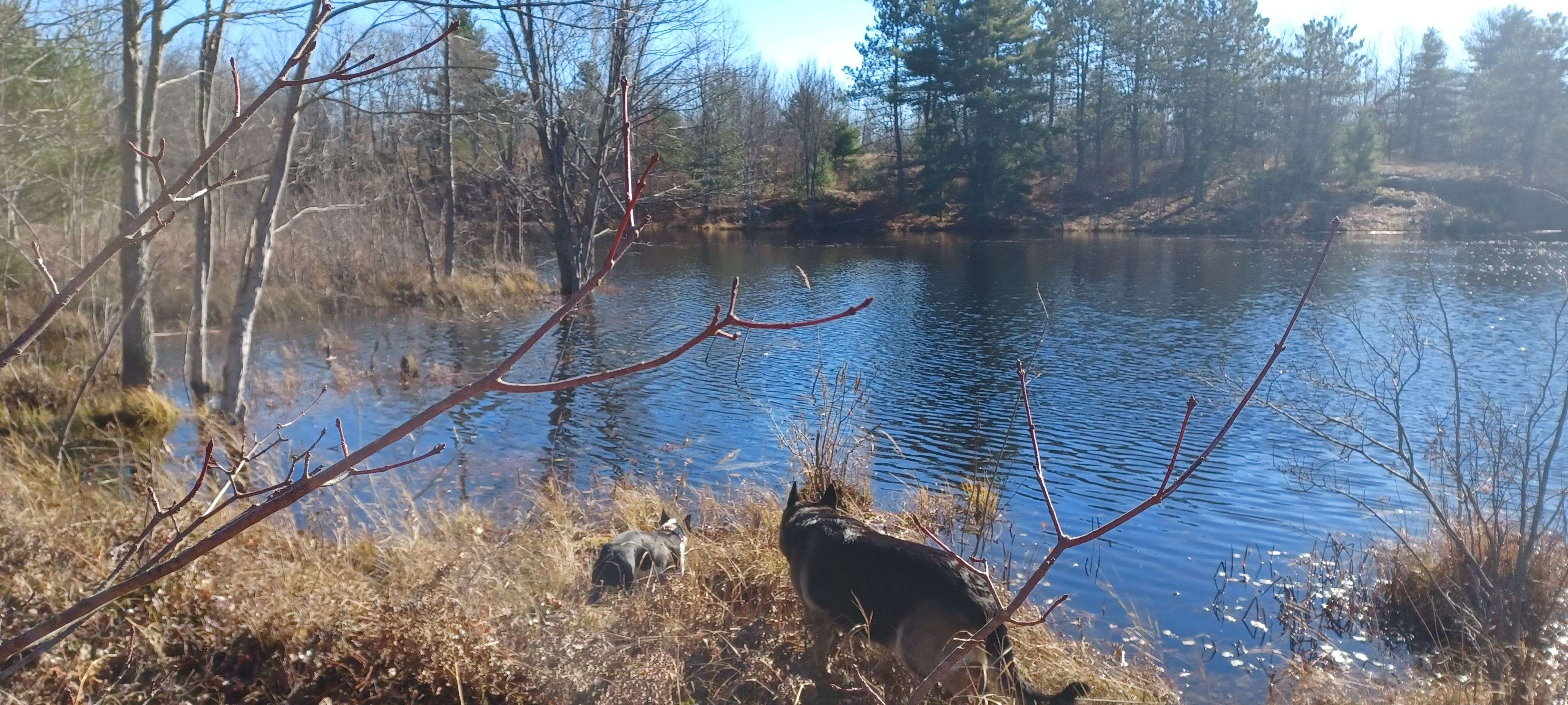 KALADAR CON 9 LT 21 N/A, Addington Highlands, ON K0H 2G0