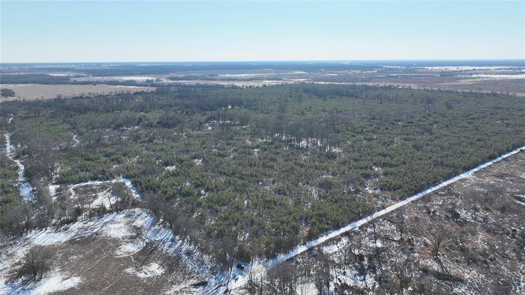 TBD County Road 2242, Bagwell, TX 75412