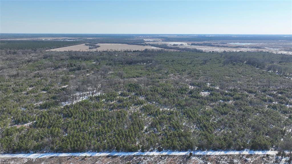 TBD County Road 2242, Bagwell, TX 75412