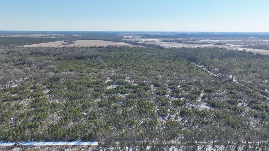 TBD County Road 2242, Bagwell, TX 75412