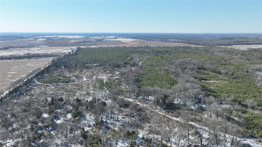 TBD County Rd. 2242 S., Bagwell, TX 75412