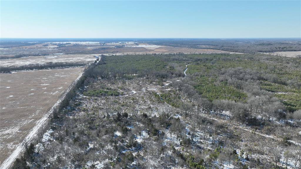 TBD County Rd. 2242 S., Bagwell, TX 75412