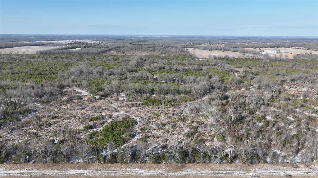 TBD County Rd. 2242 S., Bagwell, TX 75412