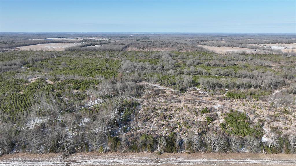 TBD County Rd. 2242 S., Bagwell, TX 75412