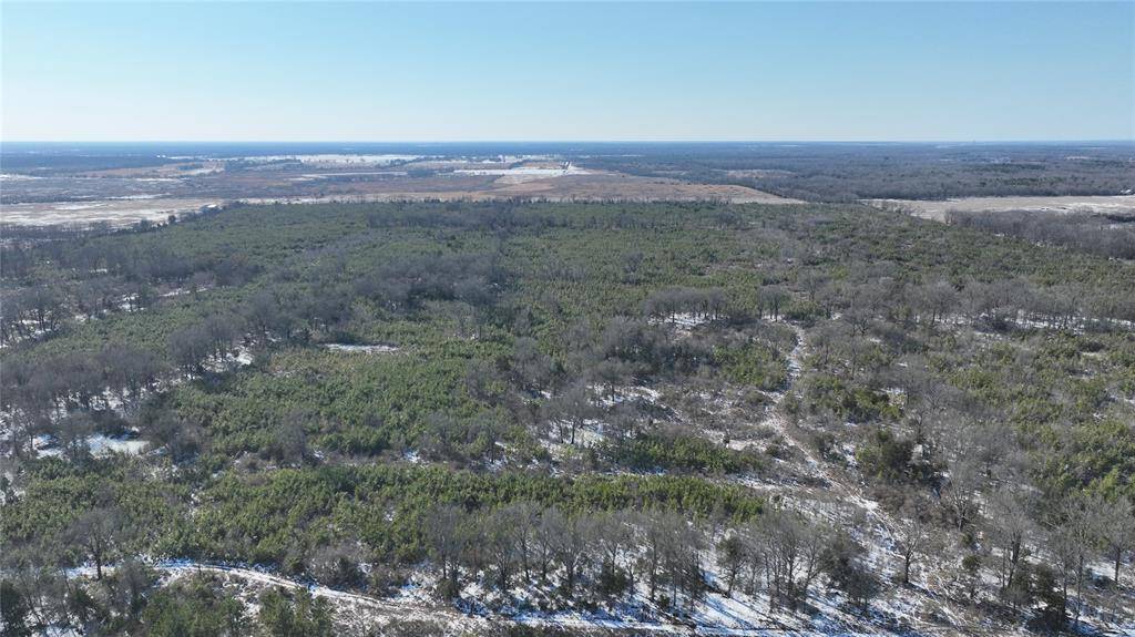 TBD County Road 2242 S., Bagwell, TX 75412