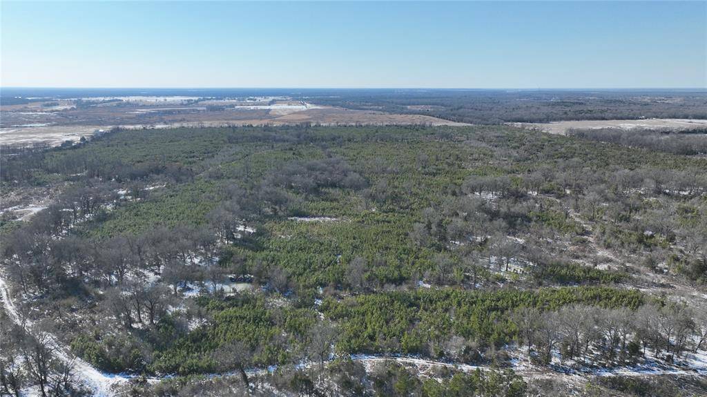 TBD County Road 2242 S., Bagwell, TX 75412