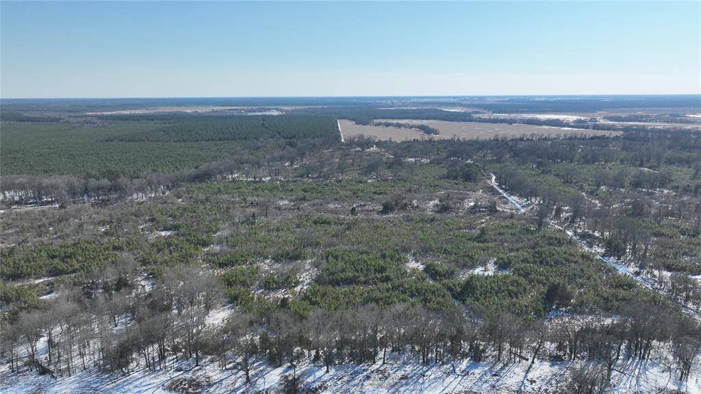 TBD County Rd 2242 S., Bagwell, TX 75412