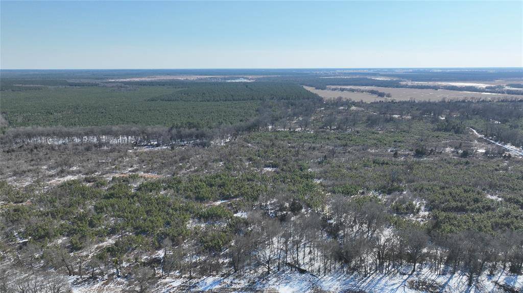 TBD County Rd 2242 S., Bagwell, TX 75412