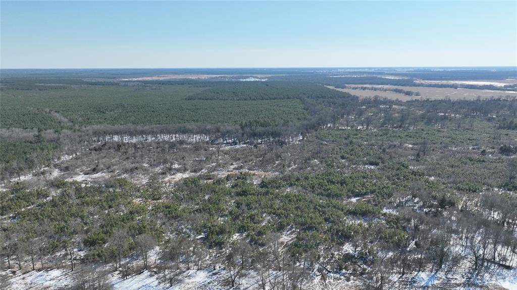 TBD County Rd 2242 S., Bagwell, TX 75412