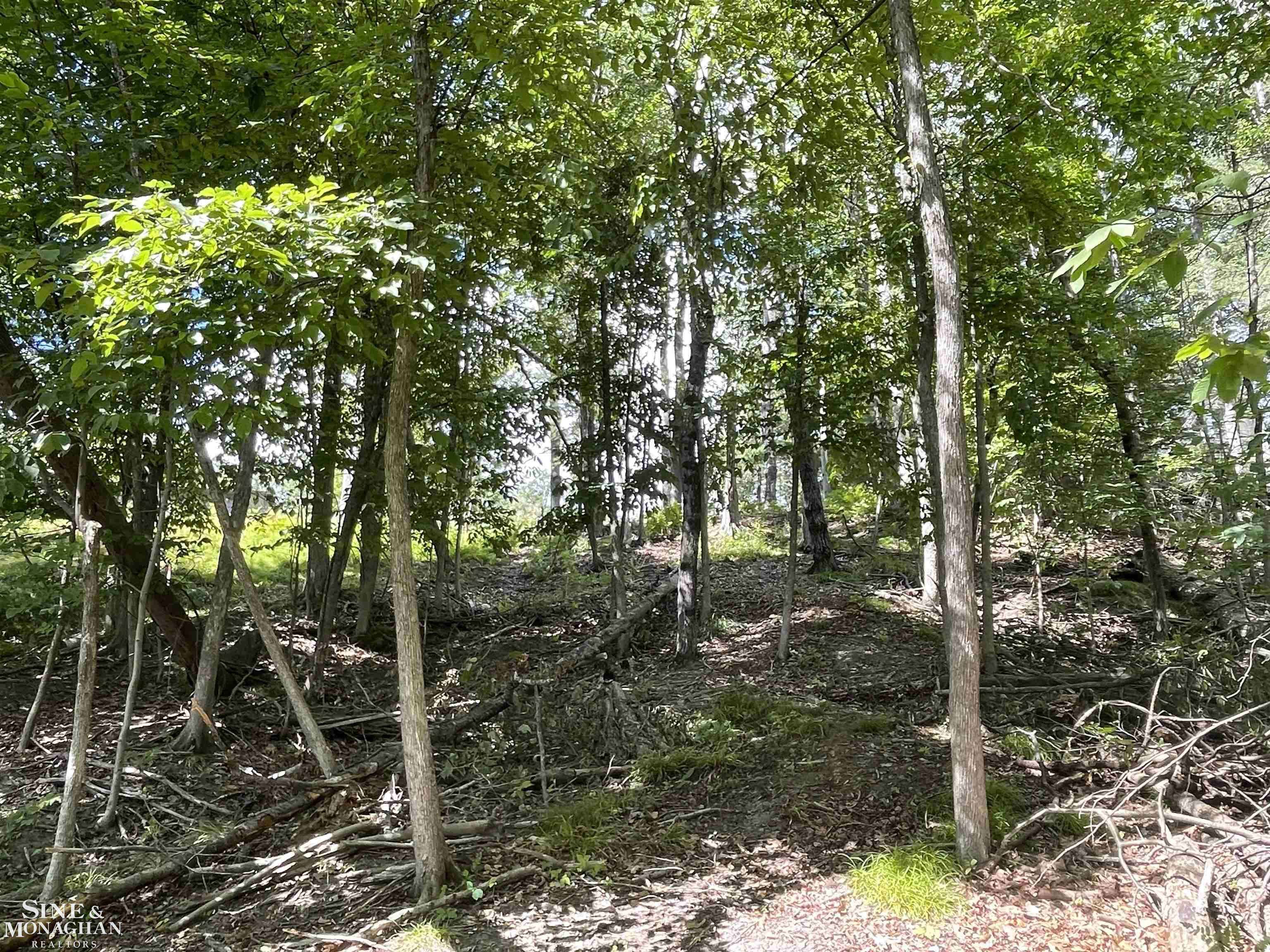 0 S Forest Lake DR, Unknown_outofstate, MI 48610