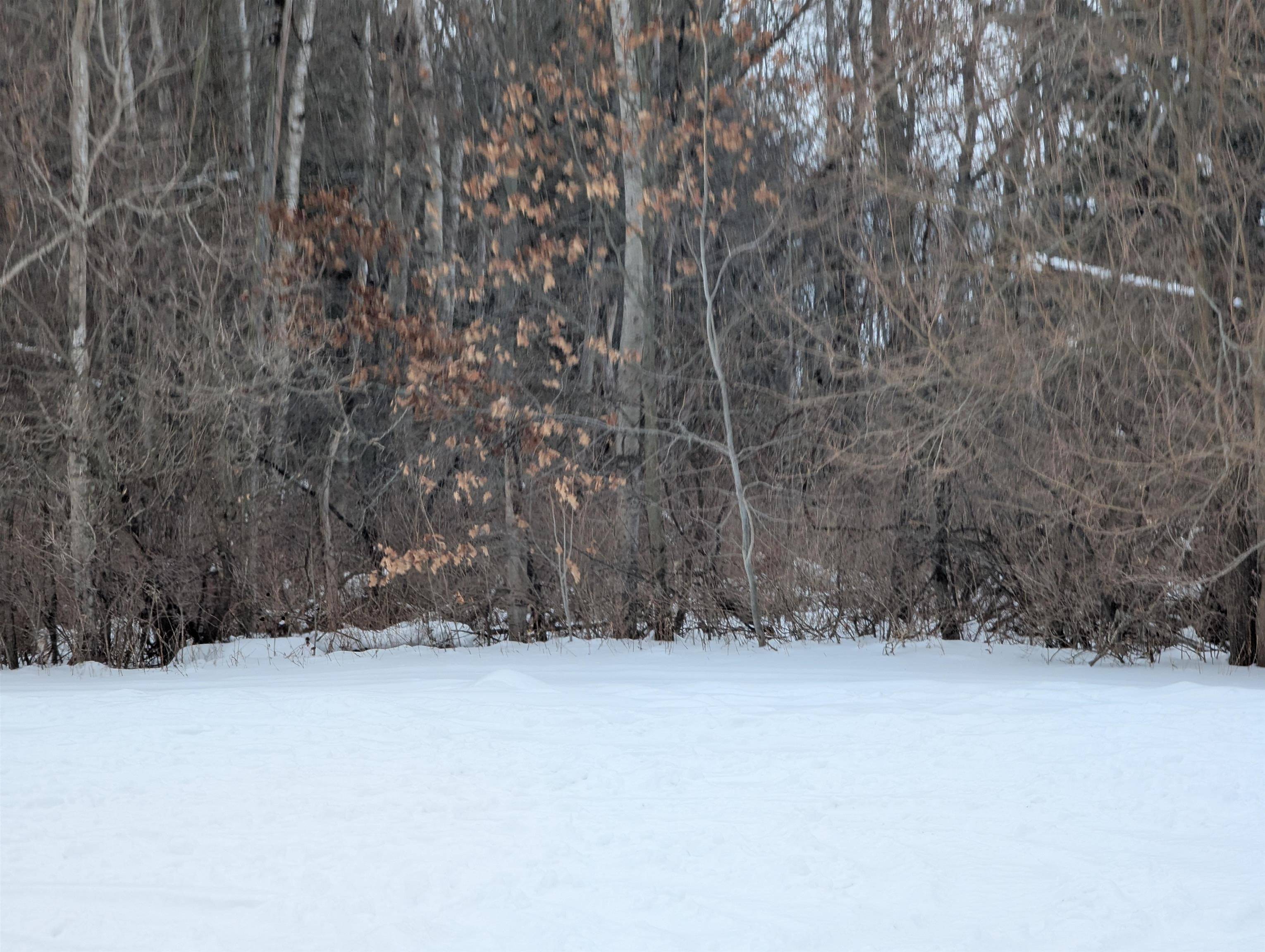 N/A Court ST, Au Gres Twp, MI 48703