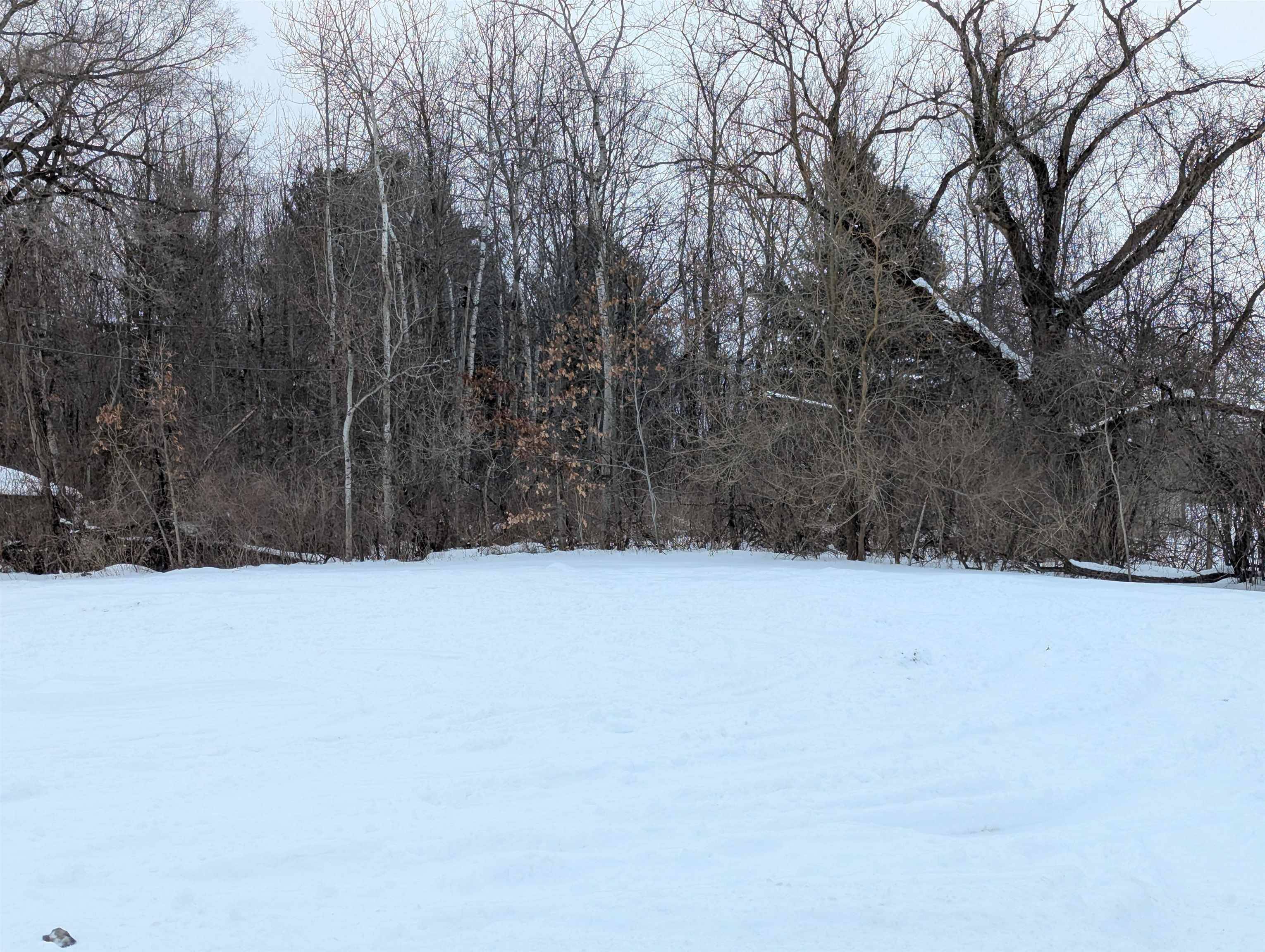 N/A Court ST, Au Gres Twp, MI 48703