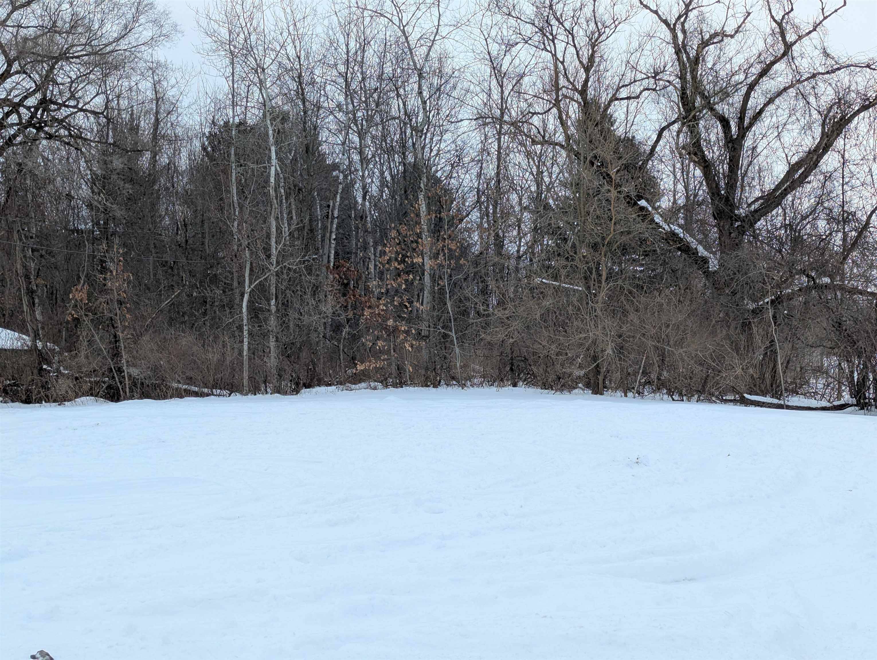 N/A Court ST, Au Gres Twp, MI 48703