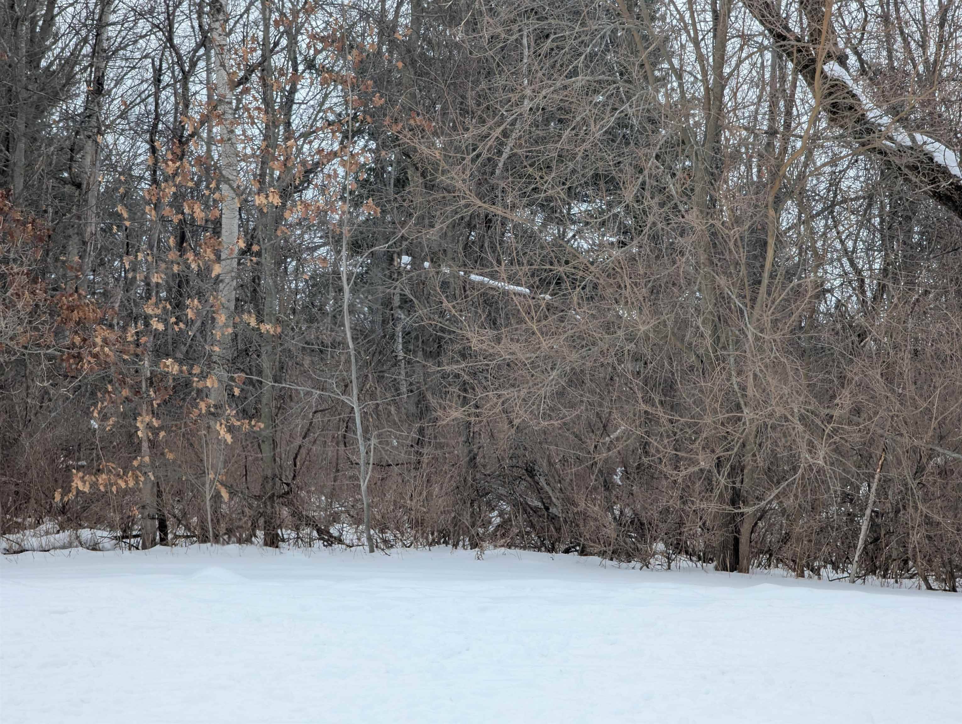 N/A Court ST, Au Gres Twp, MI 48703