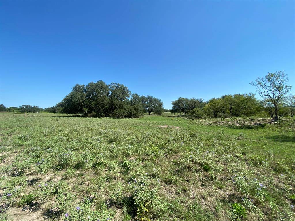 TBD State Highway 16 S, Goldthwaite, TX 76844