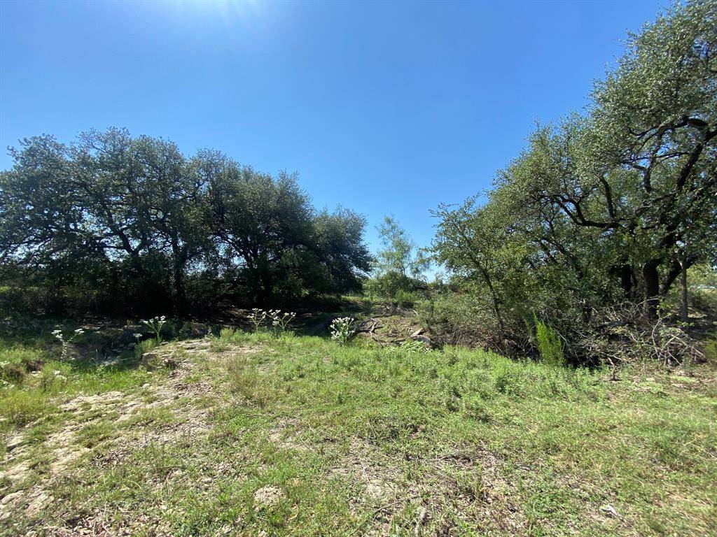 TBD State Highway 16 S, Goldthwaite, TX 76844