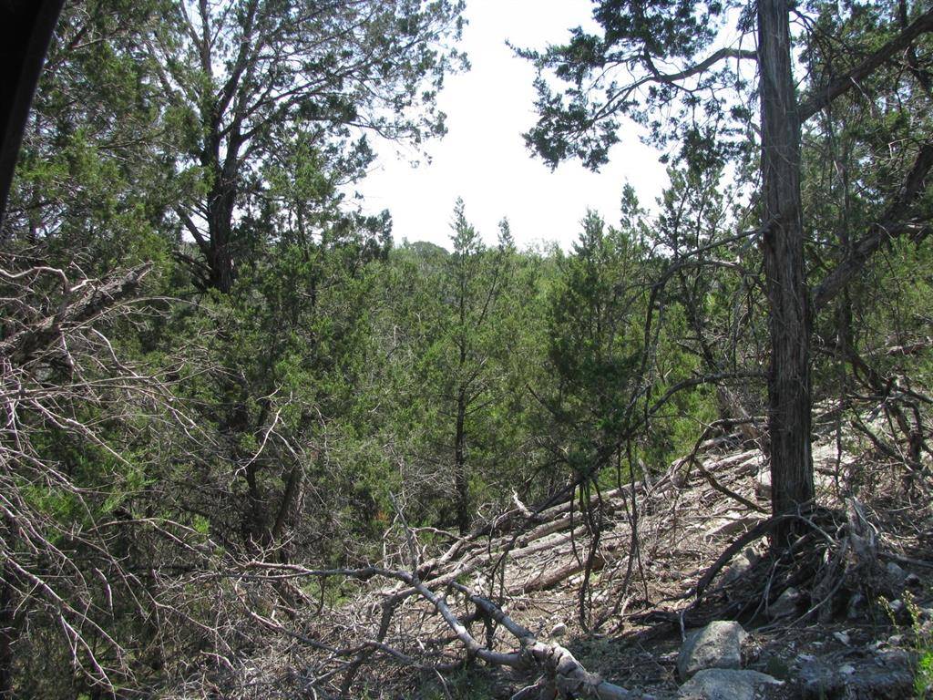 Lot 11 Ph 5 Private Road, Evant, TX 76525