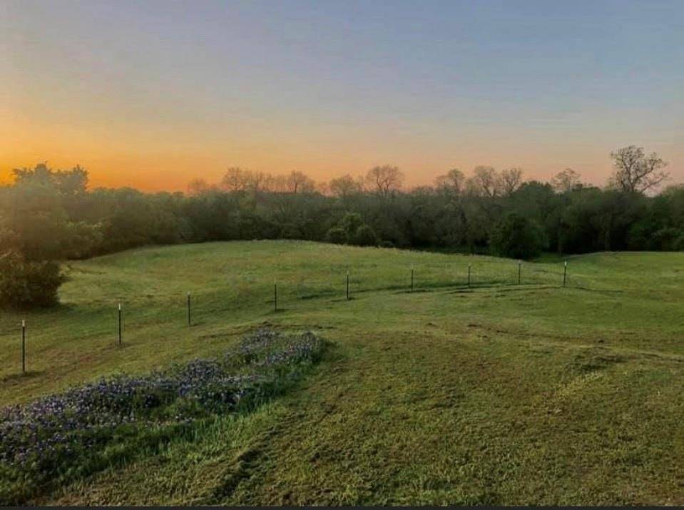 1147 Hill County Road 1458, Itasca, TX 76055