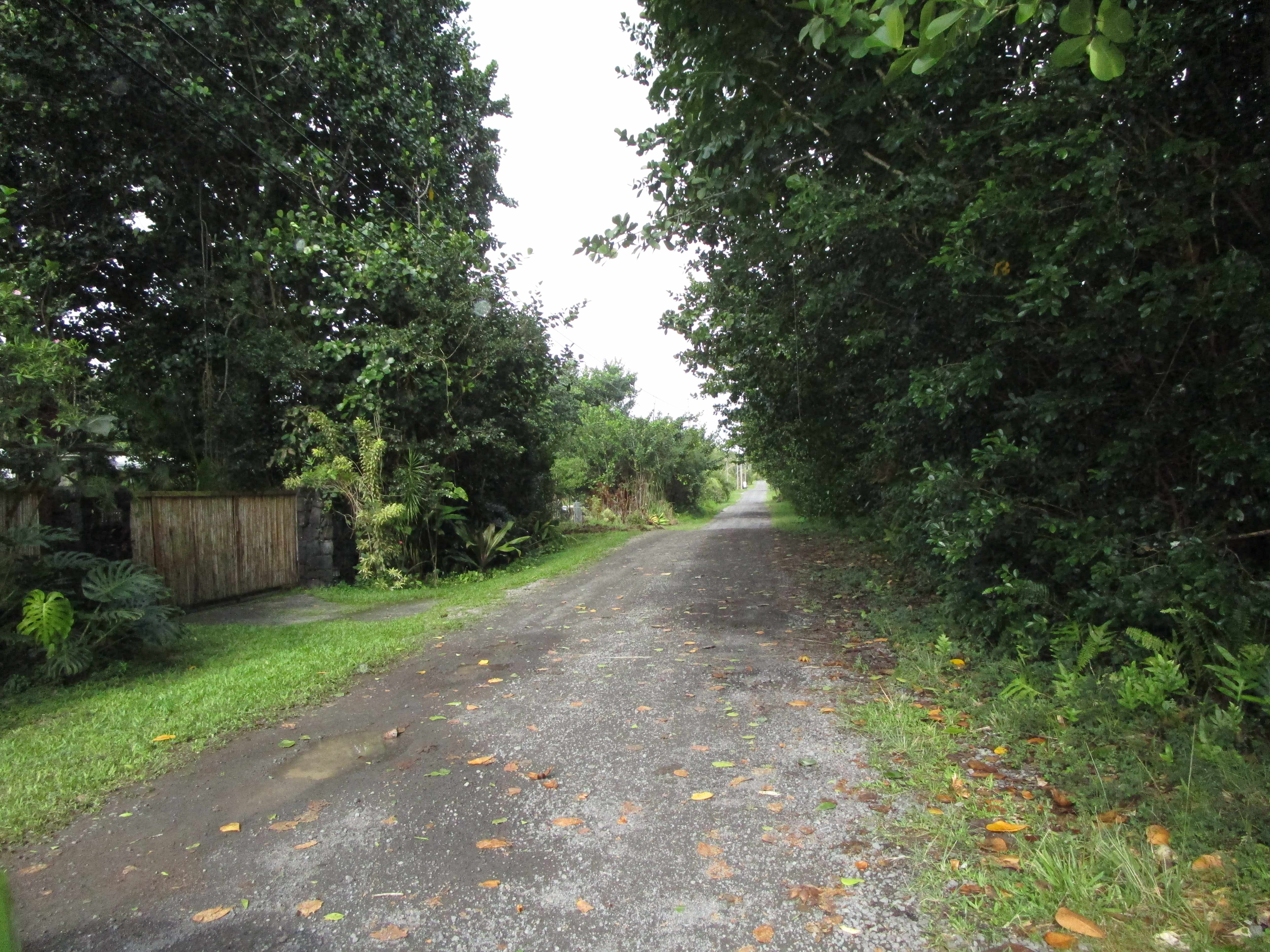AMAU RD, Keaau, HI 96749